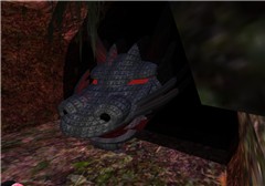 Hiding Dragon
