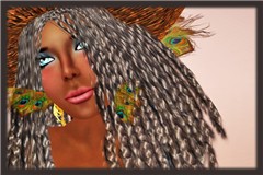 Snapshot_241