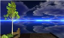 Snapshot_310