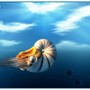 Nautilus