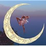 The Girl in the Moon