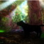 panther