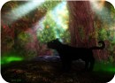 panther