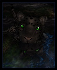 panther