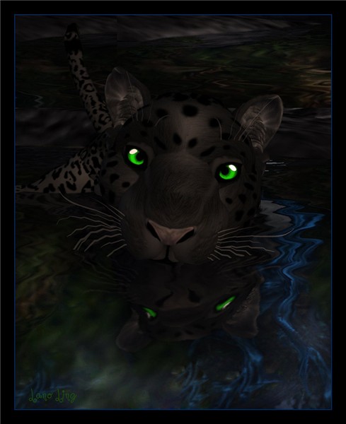 panther