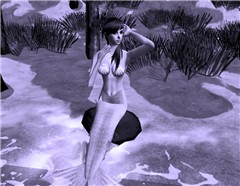 Sirena