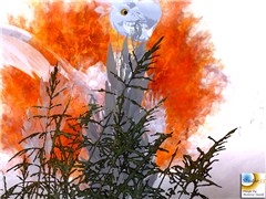 ghost Rider