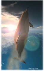 dolphin