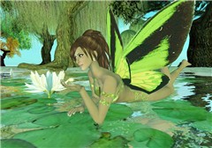 Fairy_011