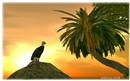 tropical-sunset