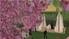 Little Britain wedding 