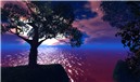 Snapshot_324