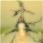 emerge