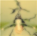 emerge