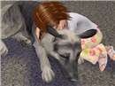 Scully and Jethro