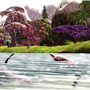 slwildlifecontest -The Dolphins