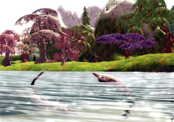 slwildlifecontest -The Dolphins