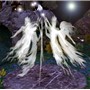Apparitions 