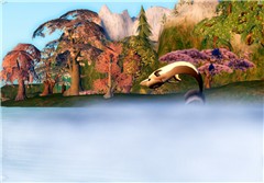 Dolphin