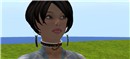 Custom Collar for MissLily Nightfire - Talia Tokugawa