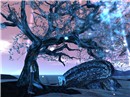 TemplumExObscurum3