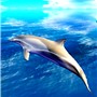 FLIPPER