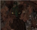 wild2ab