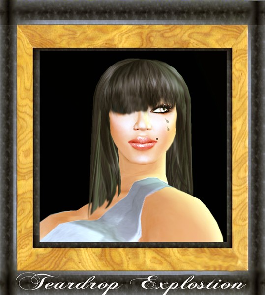 slportraitcontest - Teardrop Explosion