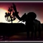 Silhouette Of An Elephant