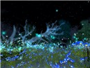 Kuja's Garden_n003