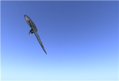 glitch ride, Windsurfing at 1500+ M!