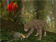 Not so wild animals