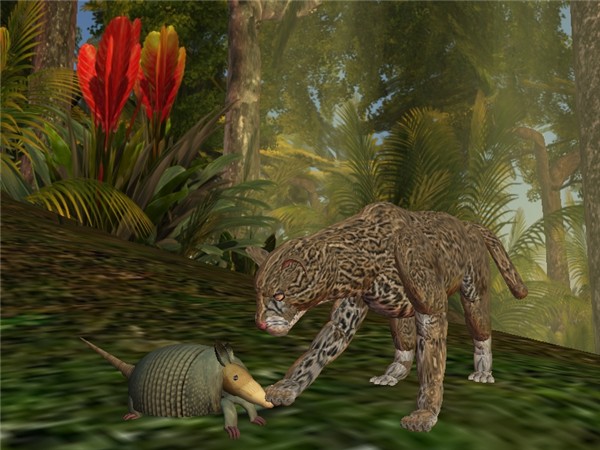 Not so wild animals