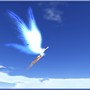 flight