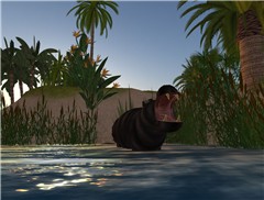 Shout of jungle
