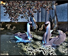 WildLife18