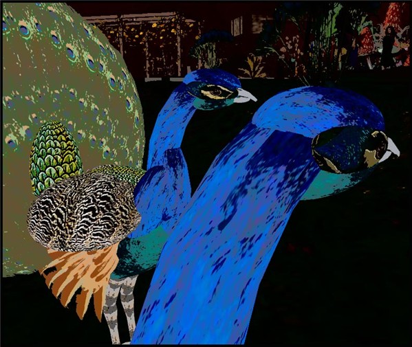 WildLife13