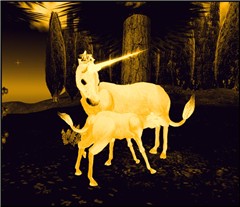 WildLife10