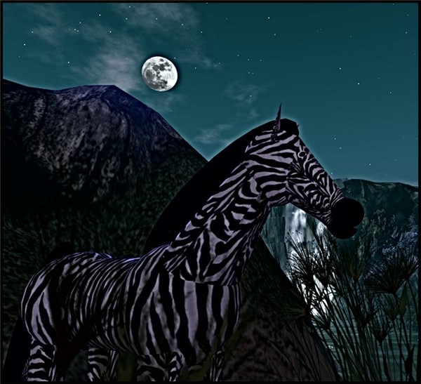 WildLife8