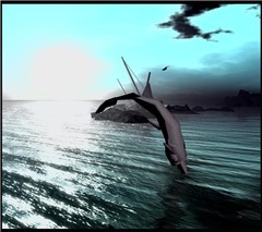 WildLife5