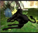 WildLife4