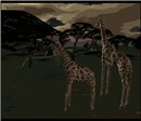 WildLife1