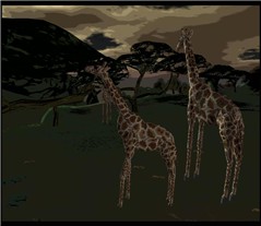 WildLife1