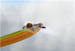 Sky Surfing