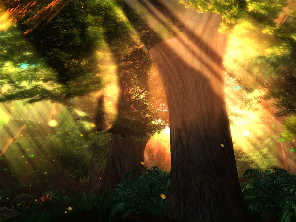 Forest Sunkissed