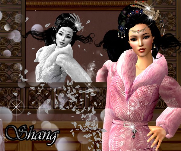 shang