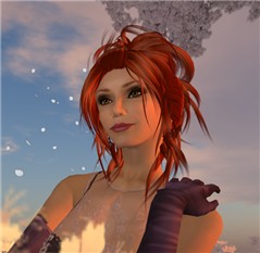 Profile contest