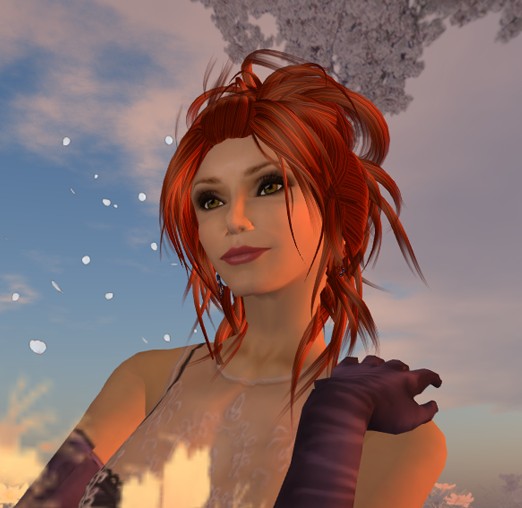 Profile contest