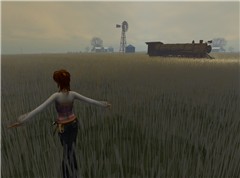 Grass