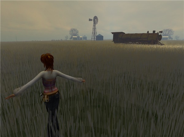 Grass